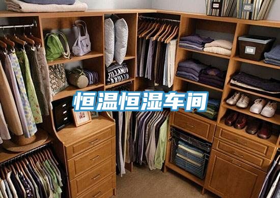 恒溫恒濕車(chē)間
