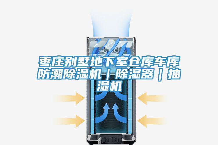 棗莊別墅地下室倉庫車(chē)庫防潮除濕機｜除濕器｜抽濕機