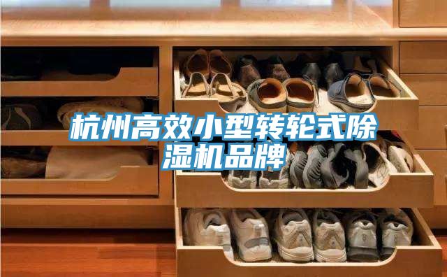 杭州高效小型轉輪式除濕機品牌