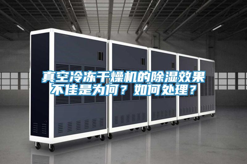 真空冷凍干燥機的除濕效果不佳是為何？如何處理？