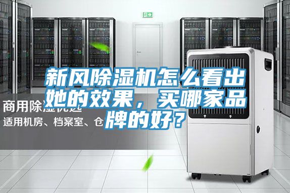 新風(fēng)除濕機怎么看出她的效果，買(mǎi)哪家品牌的好？