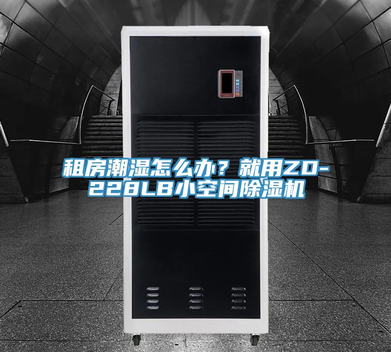 租房潮濕怎么辦？就用ZD-228LB小空間除濕機