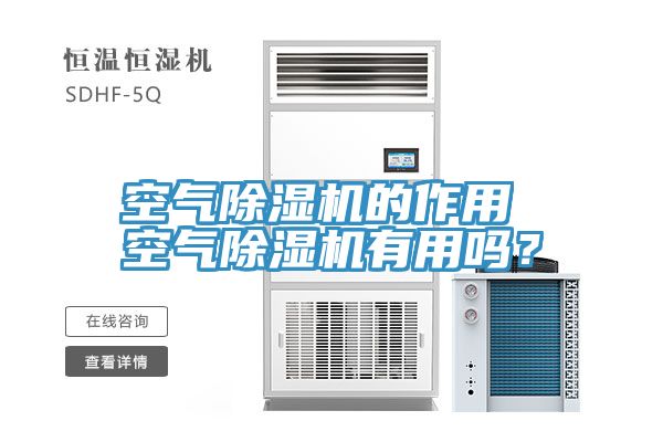 空氣除濕機的作用 空氣除濕機有用嗎？