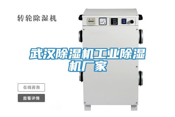 武漢除濕機工業(yè)除濕機廠(chǎng)家