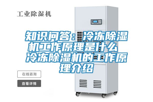 知識問(wèn)答：冷凍除濕機工作原理是什么 冷凍除濕機的工作原理介紹