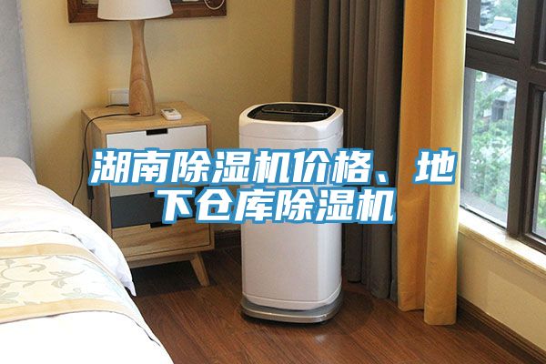 湖南除濕機價(jià)格、地下倉庫除濕機