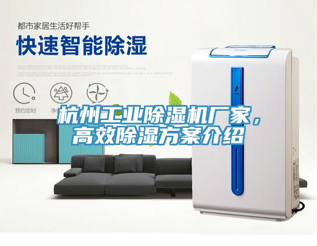 杭州工業(yè)除濕機廠(chǎng)家，高效除濕方案介紹