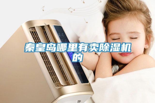 秦皇島哪里有賣(mài)除濕機的