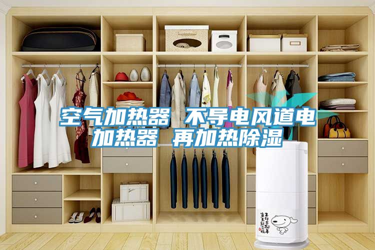 空氣加熱器 不導電風(fēng)道電加熱器 再加熱除濕