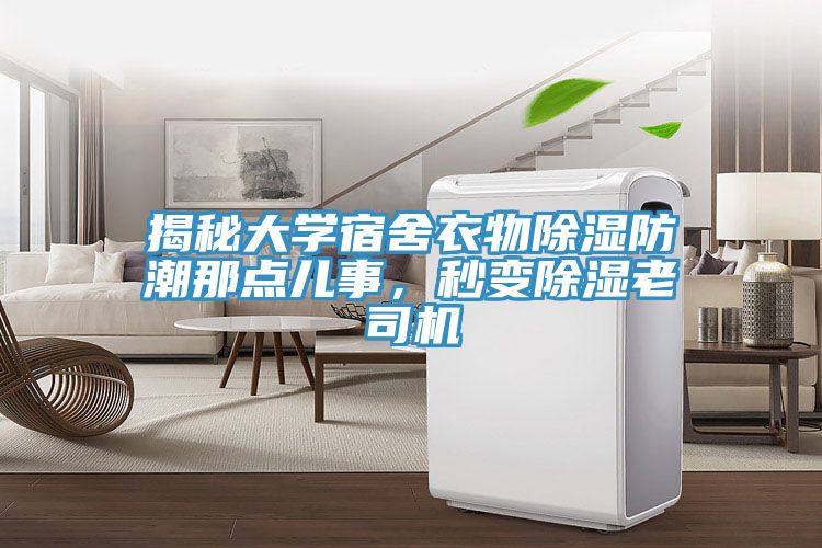 揭秘大學(xué)宿舍衣物除濕防潮那點(diǎn)兒事，秒變除濕老司機