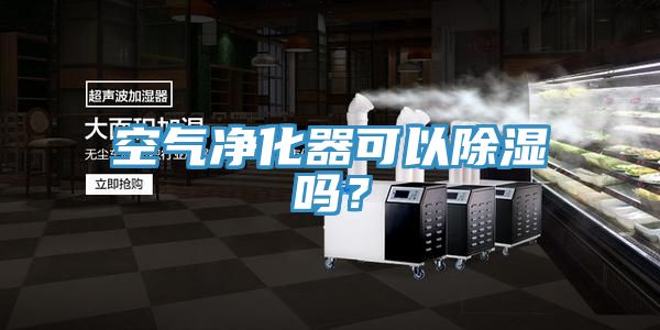空氣凈化器可以除濕嗎？
