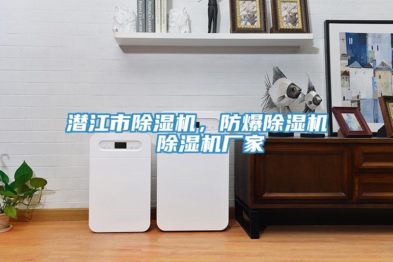 潛江市除濕機，防爆除濕機  除濕機廠(chǎng)家