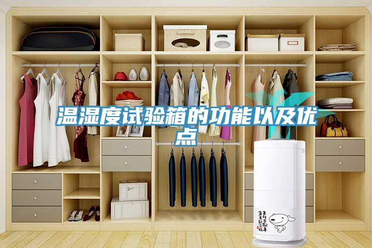 溫濕度試驗箱的功能以及優(yōu)點(diǎn)