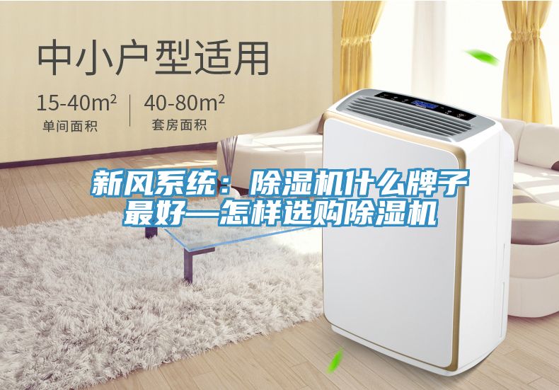 新風(fēng)系統：除濕機什么牌子最好—怎樣選購除濕機