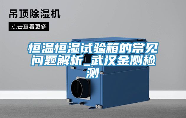 恒溫恒濕試驗箱的常見(jiàn)問(wèn)題解析_武漢金測檢測
