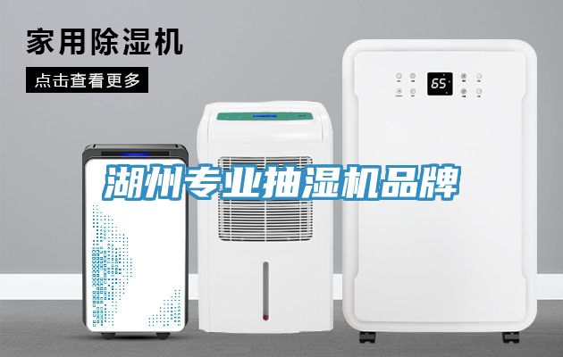 湖州專(zhuān)業(yè)抽濕機品牌