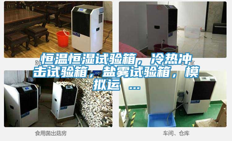 恒溫恒濕試驗箱，冷熱沖擊試驗箱，鹽霧試驗箱，模擬運 ...