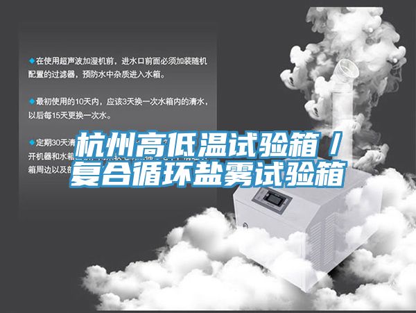 杭州高低溫試驗箱／復合循環(huán)鹽霧試驗箱