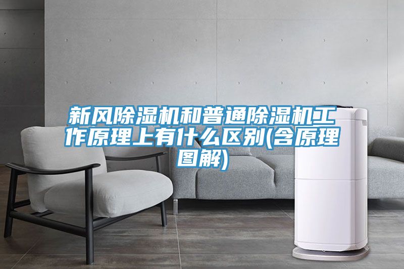 新風(fēng)除濕機和普通除濕機工作原理上有什么區別(含原理圖解)