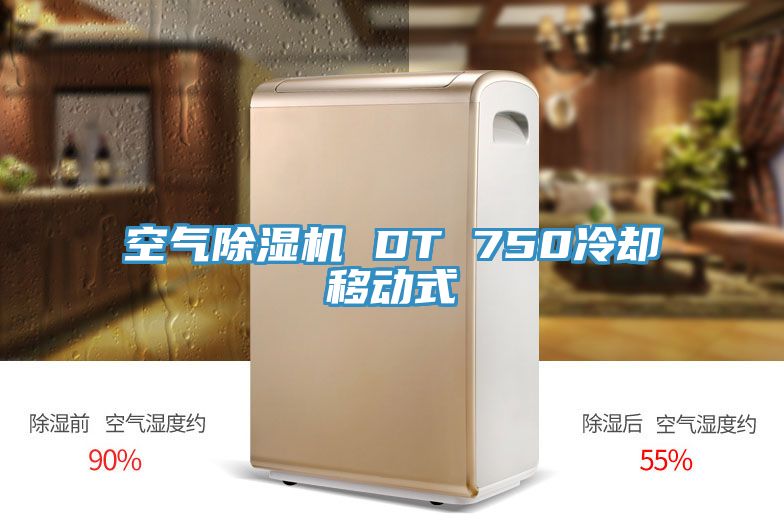 空氣除濕機 DT 750冷卻移動(dòng)式