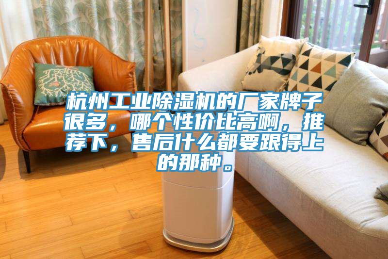 杭州工業(yè)除濕機的廠(chǎng)家牌子很多，哪個(gè)性?xún)r(jià)比高啊，推薦下，售后什么都要跟得上的那種。