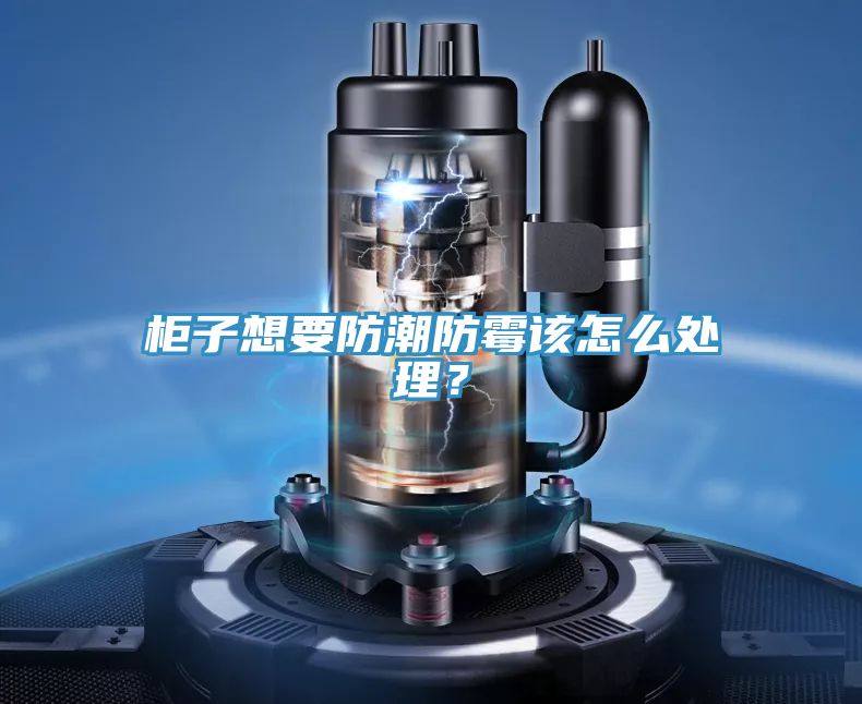 柜子想要防潮防霉該怎么處理？