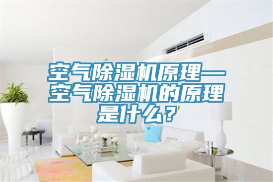 空氣除濕機原理—空氣除濕機的原理是什么？