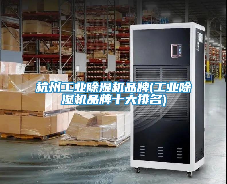 杭州工業(yè)除濕機品牌(工業(yè)除濕機品牌十大排名)