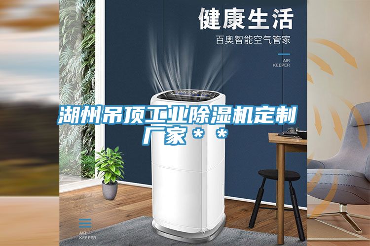 湖州吊頂工業(yè)除濕機定制 廠(chǎng)家＊＊