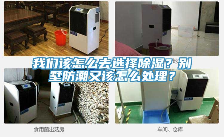 我們該怎么去選擇除濕？別墅防潮又該怎么處理？