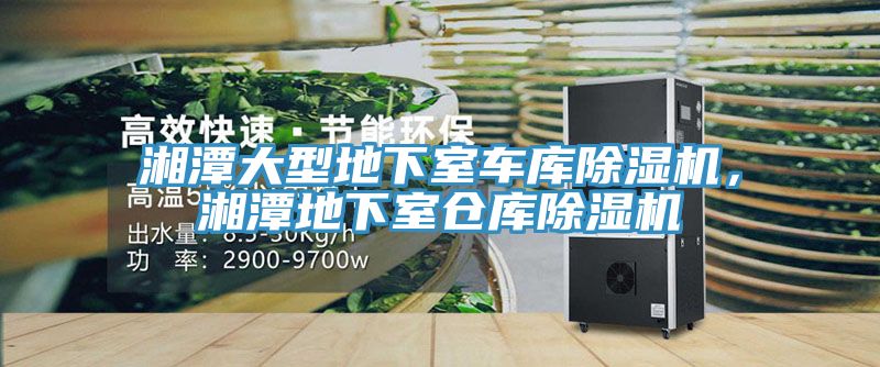 湘潭大型地下室車(chē)庫除濕機，湘潭地下室倉庫除濕機