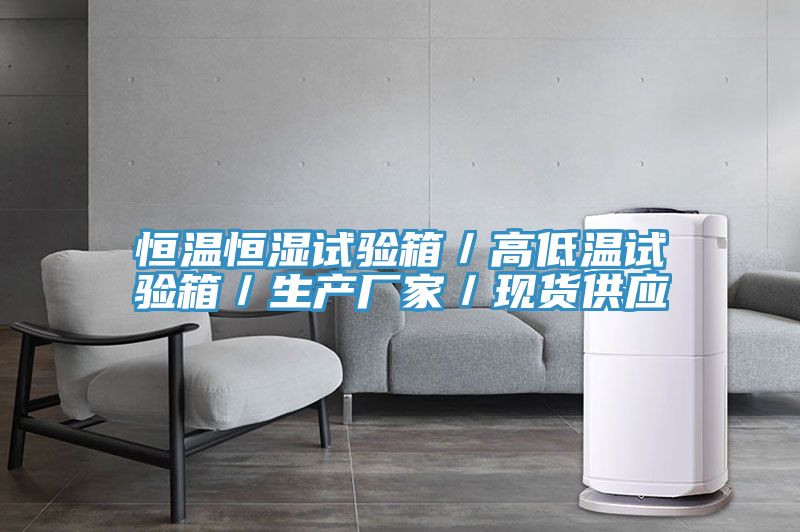 恒溫恒濕試驗箱／高低溫試驗箱／生產(chǎn)廠(chǎng)家／現貨供應