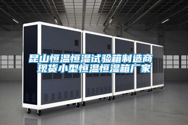 昆山恒溫恒濕試驗箱制造商 現貨小型恒溫恒濕箱廠(chǎng)家