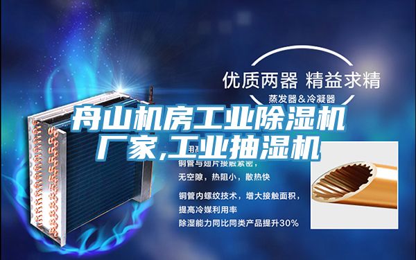 舟山機房工業(yè)除濕機廠(chǎng)家,工業(yè)抽濕機