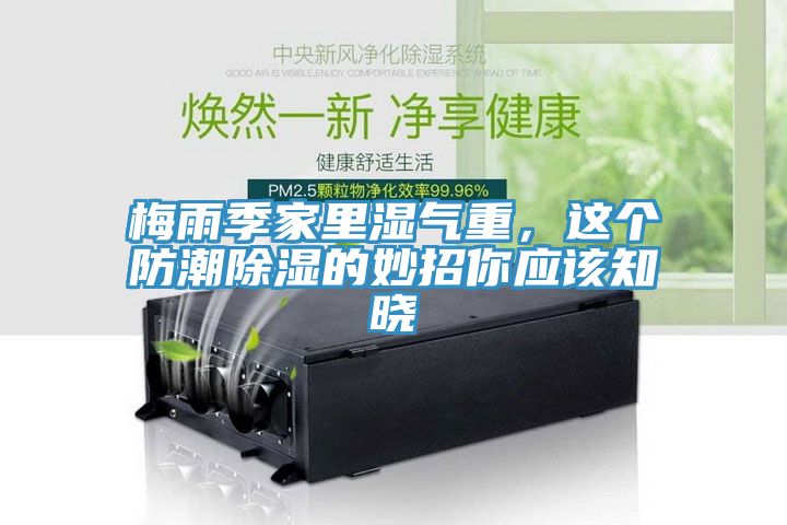 梅雨季家里濕氣重，這個(gè)防潮除濕的妙招你應該知曉