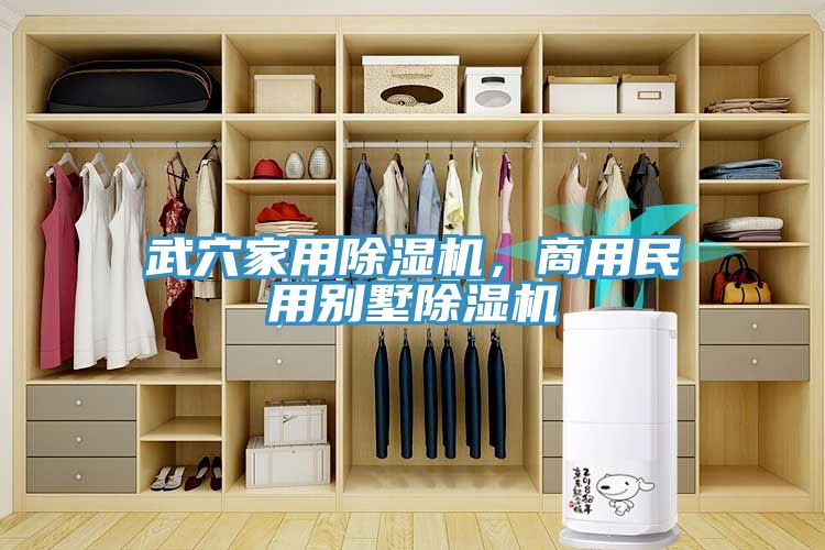武穴家用除濕機，商用民用別墅除濕機