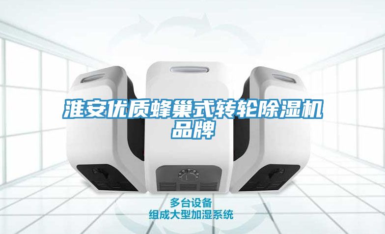 淮安優(yōu)質(zhì)蜂巢式轉輪除濕機品牌
