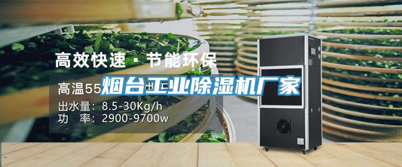 煙臺工業(yè)除濕機廠(chǎng)家