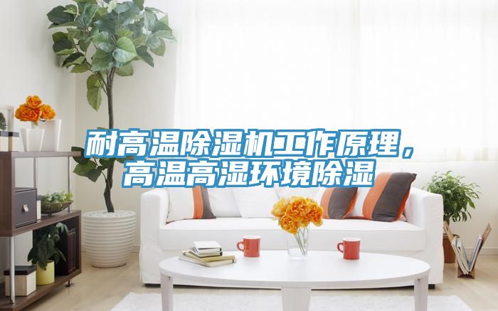 耐高溫除濕機工作原理，高溫高濕環(huán)境除濕