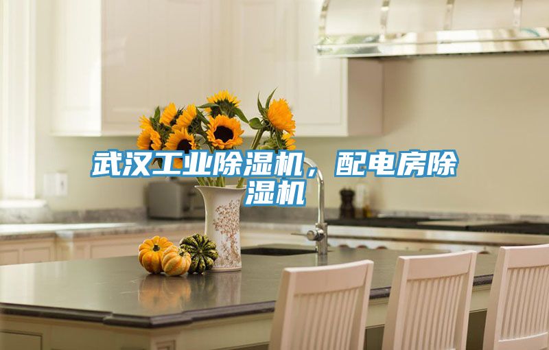 武漢工業(yè)除濕機，配電房除濕機