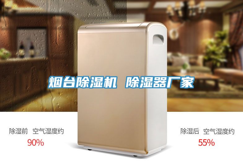 煙臺除濕機 除濕器廠(chǎng)家