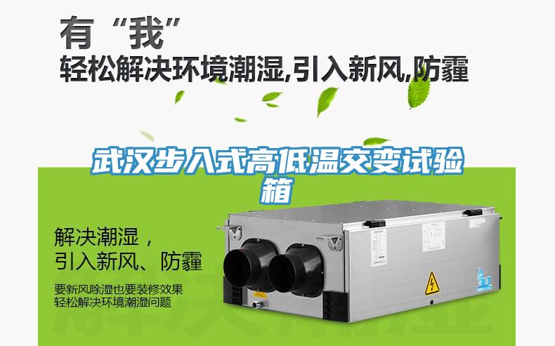 武漢步入式高低溫交變試驗箱