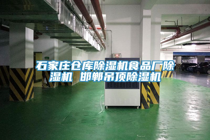 石家莊倉庫除濕機食品廠(chǎng)除濕機 邯鄲吊頂除濕機