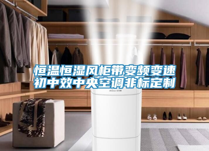 恒溫恒濕風(fēng)柜帶變頻變速初中效中央空調非標定制
