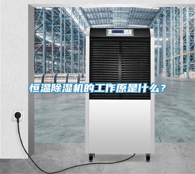 恒溫除濕機的工作原是什么？