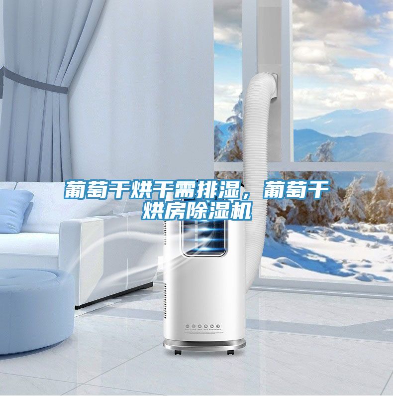 葡萄干烘干需排濕，葡萄干烘房除濕機