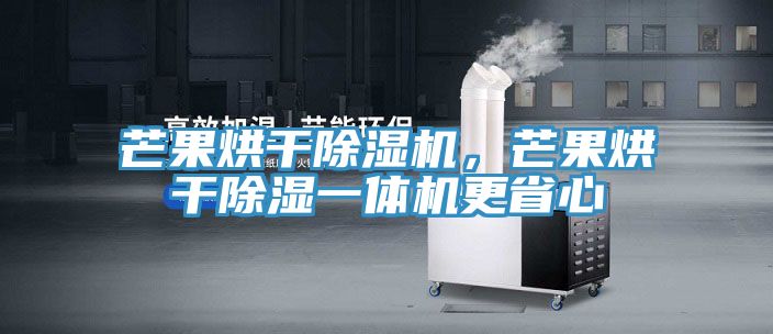 芒果烘干除濕機，芒果烘干除濕一體機更省心