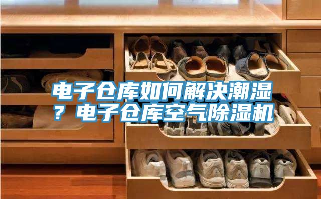 電子倉庫如何解決潮濕？電子倉庫空氣除濕機