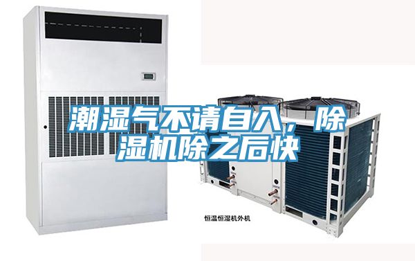 潮濕氣不請自入，除濕機除之后快