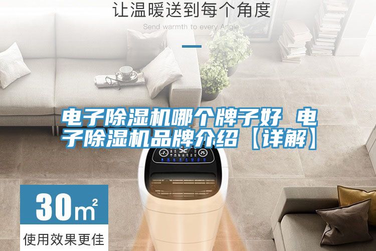 電子除濕機哪個(gè)牌子好 電子除濕機品牌介紹【詳解】